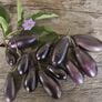 Patio Baby, (F1) Eggplant Seeds - Packet thumbnail number null
